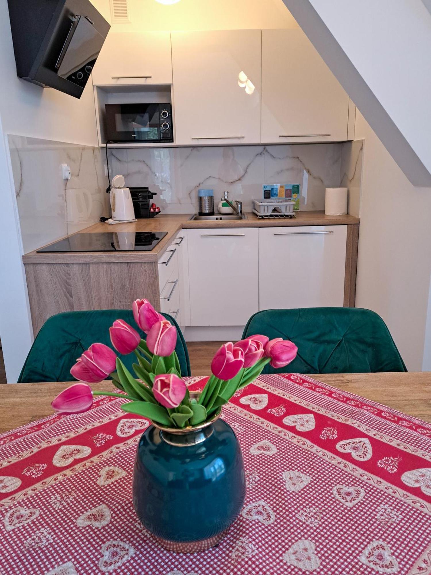 Bory6A Apartamenty & Free Parking Закопане Екстер'єр фото